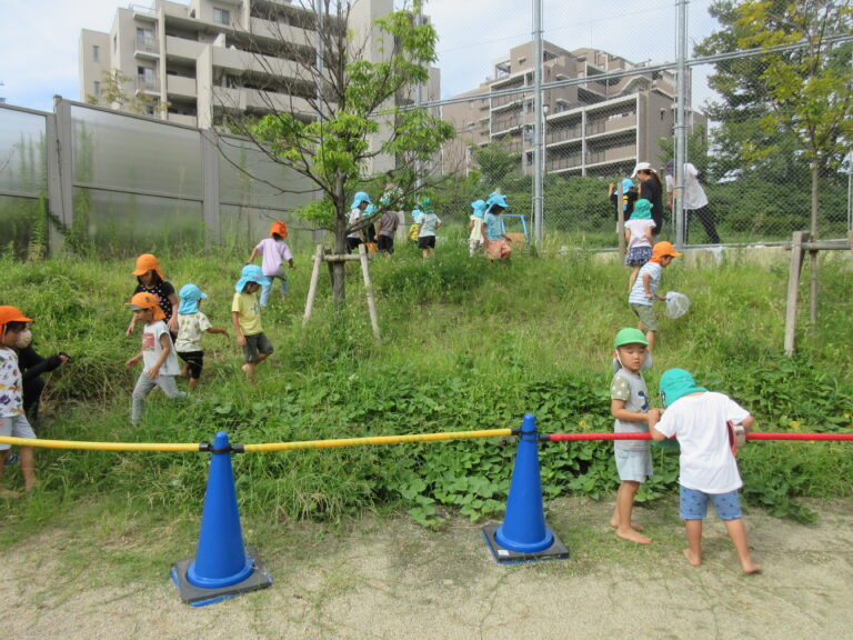 大草原(？)を探索中👀