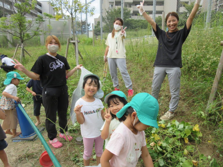 お芋畑の草抜き