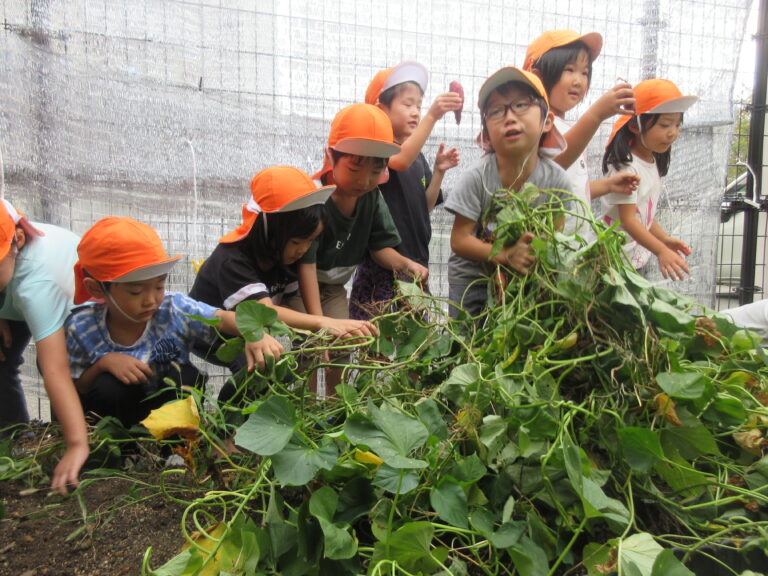 お芋ほり会（幼児クラス）🍠