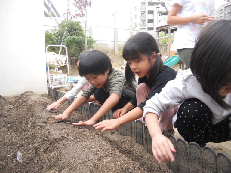 冬野菜の種まき🌱第2弾