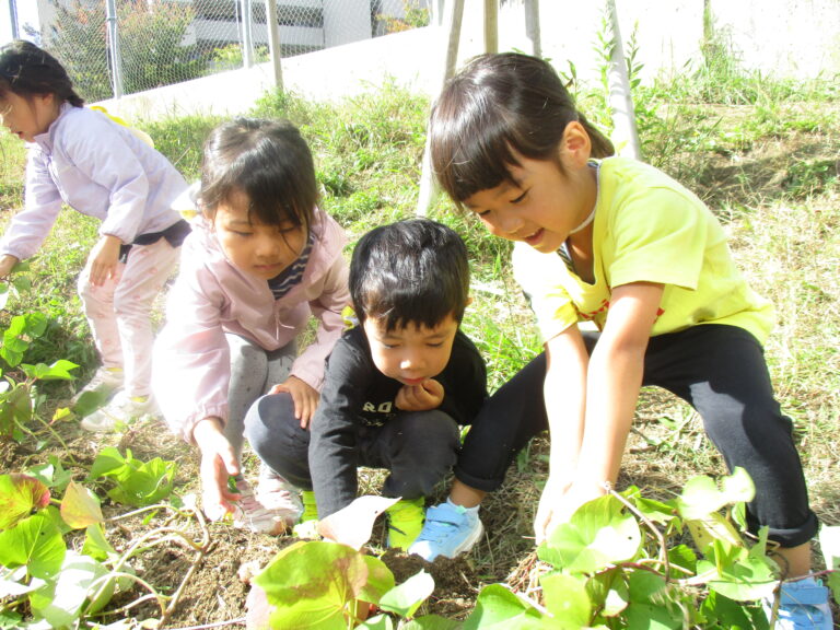 🍠いもほり🍠