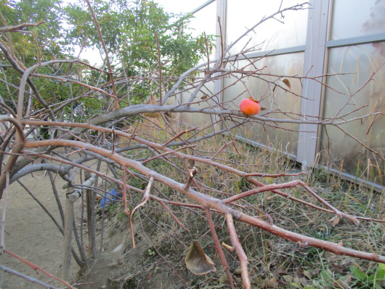 最後の1つは・・・