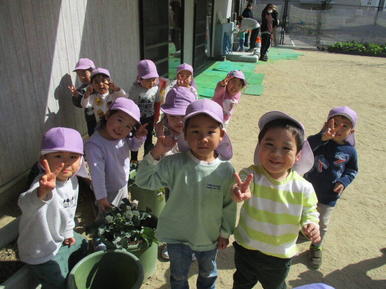 🌞ポカポカ🌱